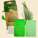 Compostable Kitchen Sponge - 6 Pack Eco Pop Up Sponges