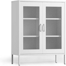 Metal Storage Cabinet with Mesh Doors, Adjustable Shelves