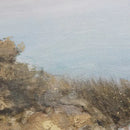 Lake Walk Wood-Tone Frame Wall Art Painting Decor