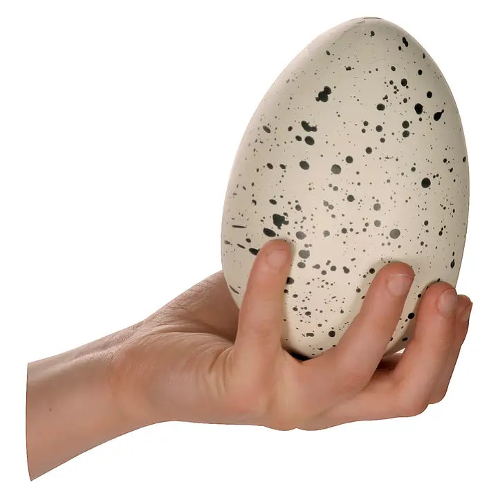 Ginormous Hatchin' Grow Dino Egg, Just Add Water