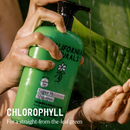 Super Moisture Shampoo