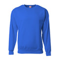 Men's Polyester Performance Fleece Sweatshirt