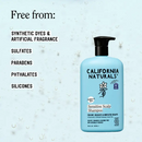 Sensitive Scalp Shampoo 16.5oz