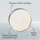 Classic Coconut Shampoo