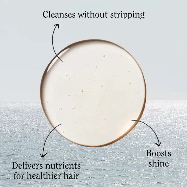 Classic Coconut Shampoo