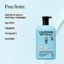 Sensitive Scalp Conditioner 16.5oz