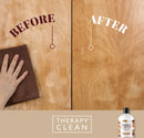 16 oz. Wood & Cabinet Cleaner & Polish