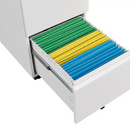 2-Drawer Mobile File Cabinet with Lock and Wheels