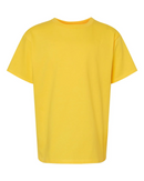 Gildan Softstyle Youth Midweight T-Shirt