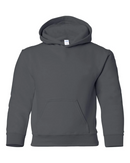 Youth Hooded Sweatshirt