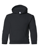Youth Hooded Sweatshirt