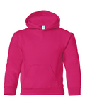 Youth Hooded Sweatshirt